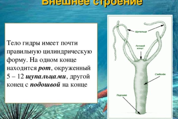 Кракен ты знаешь где покупать