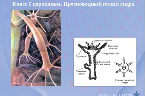 Ссылка на кракен