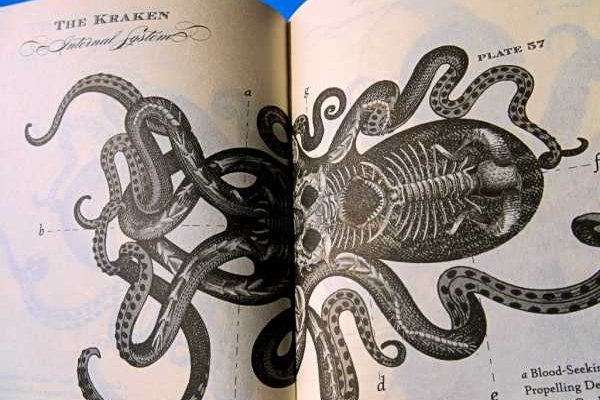 Кракен купить меф