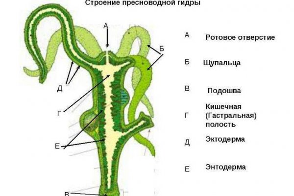 Кракен даркмаркет плейс официальный сайт