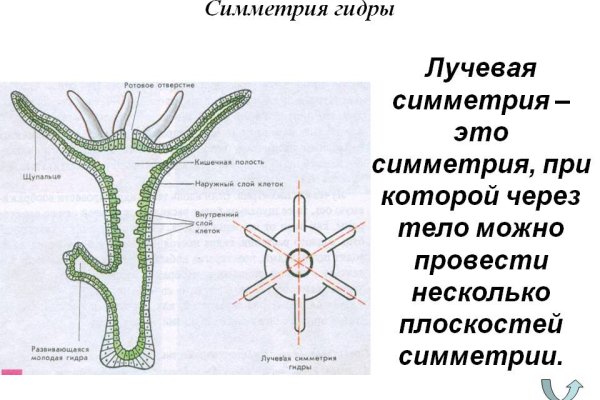 Кракен нарколог